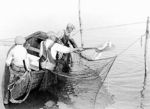 Pound Net Fishermen